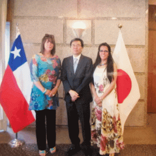 Experiencia previa como docente